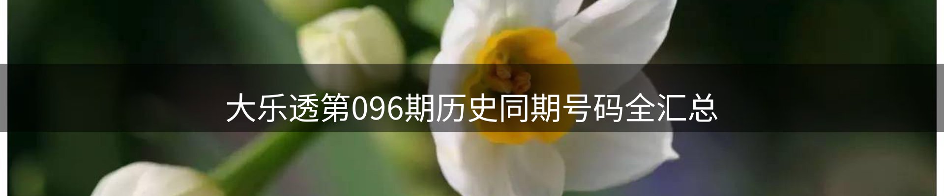 内页banner
